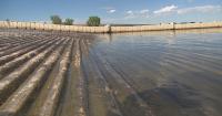 Colorado's recent rain saves boating season at Cherry Creek State Park