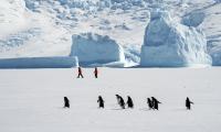Antarctic ice sheet loss temporarily slows due to remote influence of tropical warm pool: Chinese, foreign scientists