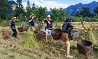 More global travelers are going beyond China's megacities to experience farming, village life and local traditions firsthand