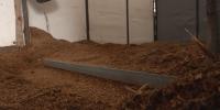 Horse electrocuted at Kentucky State Fair, investigation underway
