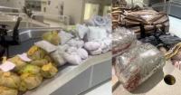 NY men busted with 847 pounds of illegal khat at Maryland airport