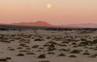 ASIA/MONGOLIA - Caritas director Sister Sandra Garay: “Desertification threatens the lives of rural communities”