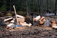 Idaho’s Strict ’50-Mile Rule’ Could Mean Big Fines for Campers, Residents