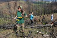 How an ecosystem restoration community is regenerating water cycles to mitigate forest fires in Portugal