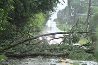 Indiana statehouse committee to investigate power outages after August storm
