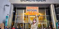 Dutch Pension Fund Pulls Nearly Half a Billion Euros From Climate 'Megapolluter' BlackRock