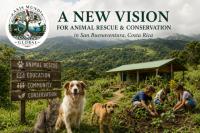 Axis Mundi Costa Rica: A New Vision for Animal Rescue and Conservation in San Buenaventura
