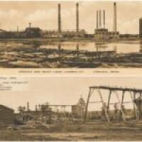 One chapter from Immigrants – The Story of America