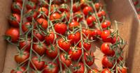 Mississippi study examines value of food as medicine, invests in local farms
