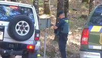 'Lion' spotted in Spanish tourist region as aircraft scrambled for massive hunt