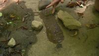 Traveling WV: Track Rock of Walton