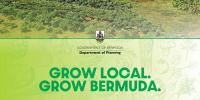 Planning Dept Promotes Grow Local Initiative