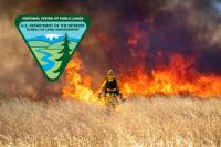 BLM Fire Restrictions Now in Place Across Oregon and Washington
