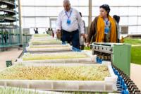 M-Grass aids Mongolia's drive for afforestation