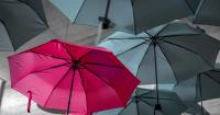 Seven heavy users were owned by private equity managers.