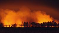 Bank of America pledges $250,000 to American Red Cross for wildfire relief