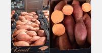 "The sweet potato market is very slow at this moment"
