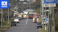 5yo girl dies in house fire despite rescuers' 'extraordinary bravery'