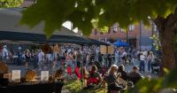 Belgrade’s Summer Nights wraps up third season with growing crowds