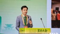 Cambodia’s Premium Cashew Sector Targeting China