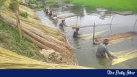 What Bangladesh's golden fibre needs to become a climate-era export