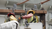 Hawaiian Electric crews joined by partner California utility workers to expedite restoration work