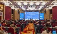 Tibetan medical thangkas draw global spotlight at symposium in Xizang