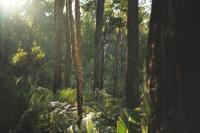 Australia’s first environmental standards promise protection – but raise concerns