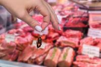 Inspectors shut 13 food businesses in South Florida over rodents, roaches, and flies