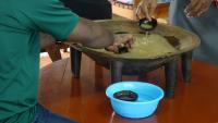 Fiji church leaders told to lead by example, cut back on kava,...