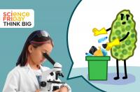 Can microplastic-loving algae clean up water pollution?