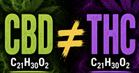 THC and CBD: Same formula, very different drugs