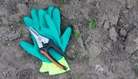 Kentucky garden expert shares simple rule for stopping invasive plants before they spread