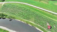 Bath, NH, farmer creates 13-acre corn maze without GPS or measuring tools