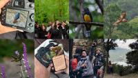 Birdwatching taught me how to be present while travelling – I'm not surprised Gen Z are catching on