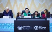 COP17: First Open Dialogue Held Between Parties, Civil Society