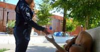 MEXICALI BRIEFS: Mexicali Police launch heat relief drive as summer temperatures surge past 109 degrees