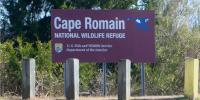 Charleston County backs plan to protect 206-acre tract near Cape Romain National Wildlife Refuge