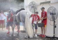 How equestrian sport is adapting to extreme weather: cool-down areas, fans and ice bag