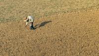 15 000 jobs shed: Why the SA agri sector is feeling the pinch