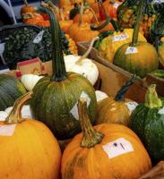 Yellowstone Valley Farmer's Market