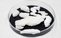 South Africa police bust major drugs lab, arrest two Mexicans