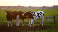 Women growing in agri-space
