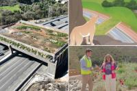 California’s $114M wildlife bridge wants $10 from humans to watch it open