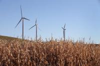 Ohio Supreme Court allows certification of out-of-state wind farms