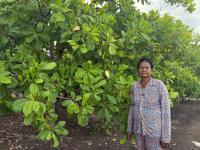 Maen Saroeun Expands Family Farming Business with LOLC Cambodia