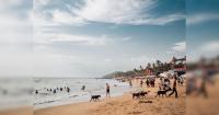 Goa leads accommodation searches for Rakshabandhan and Janmashtami long weekends, Agoda data shows