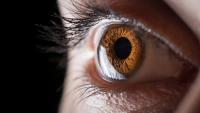 Meet the scientists 3D printing corneas to restore people's vision, potentially filling a worldwide shortage of transplantable tissue