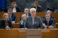 An assassination attempt on the President of Slovenia, or nothing should surprise us