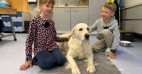Video: Meet Finland's four-legged classroom assistants